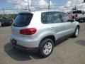 Reflex Silver Metallic - Tiguan S 4Motion Photo No. 7