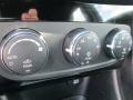 Tungsten Metallic - 200 Touring Sedan Photo No. 12