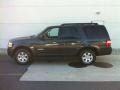 2007 Carbon Metallic Ford Expedition XLT 4x4  photo #4