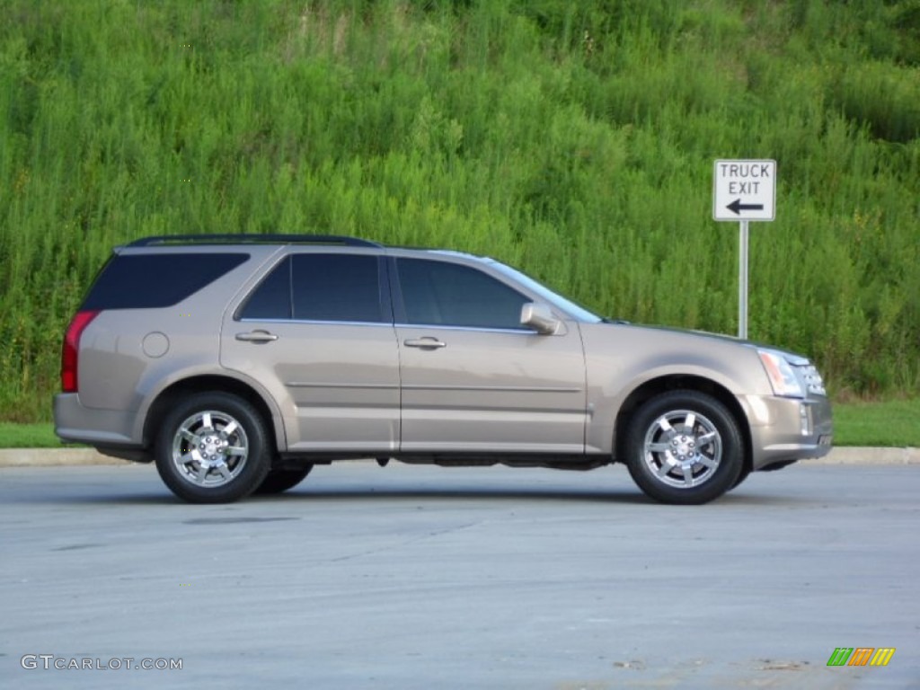 2007 SRX V6 - Radiant Bronze / Cashmere photo #5