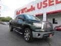 2013 Spruce Green Mica Toyota Tundra Double Cab  photo #1