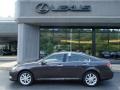 Truffle Brown Mica - ES 350 Photo No. 2