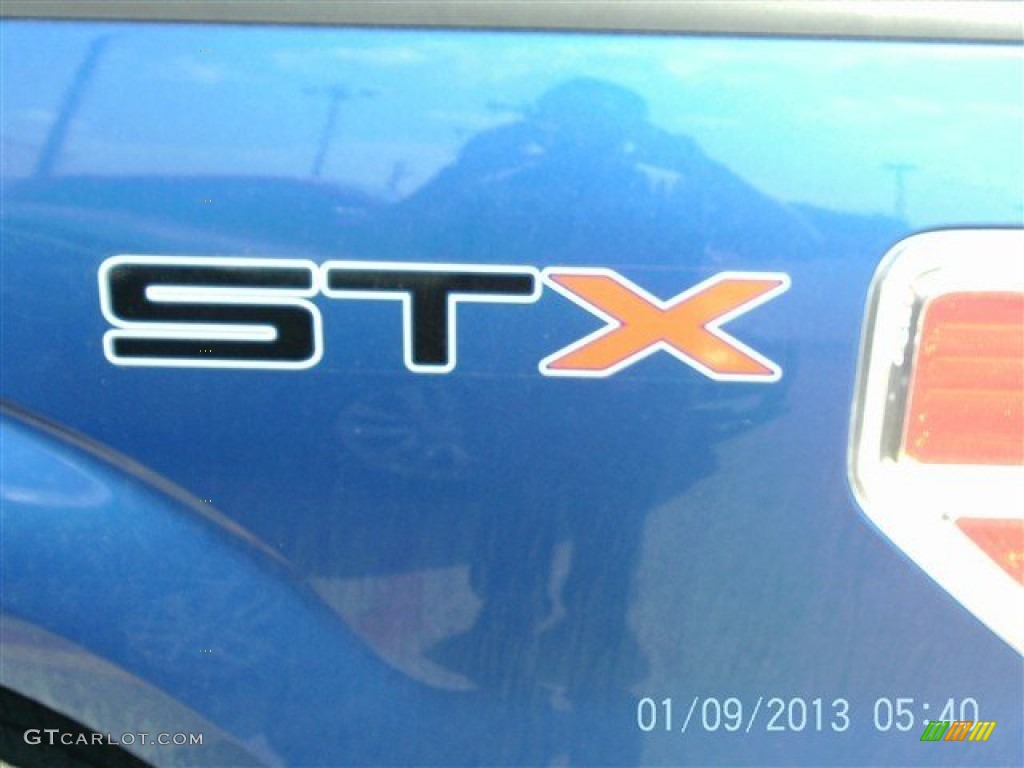 2010 F150 STX Regular Cab - Blue Flame Metallic / Medium Stone photo #5