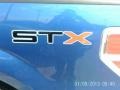 Blue Flame Metallic - F150 STX Regular Cab Photo No. 5
