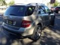 Pewter Metallic - ML 350 4Matic Photo No. 4