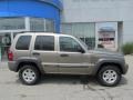Light Khaki Metallic - Liberty Sport 4x4 Photo No. 2
