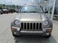 Light Khaki Metallic - Liberty Sport 4x4 Photo No. 4