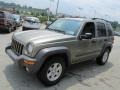 Light Khaki Metallic - Liberty Sport 4x4 Photo No. 5