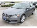 Platinum Gray Metallic - Passat 2.5L SE Photo No. 3