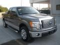 Sterling Grey Metallic 2010 Ford F150 XLT SuperCab Exterior