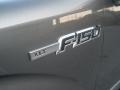 2010 Sterling Grey Metallic Ford F150 XLT SuperCab  photo #13