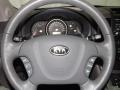 2010 Kia Sedona Gray Interior Steering Wheel Photo