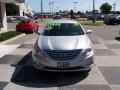Radiant Silver - Sonata GLS Photo No. 2