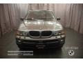 2006 Sterling Grey Metallic BMW X5 3.0i  photo #6