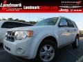 White Suede 2010 Ford Escape XLT