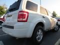 White Suede - Escape XLT Photo No. 3