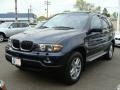 Toledo Blue Metallic - X5 3.0i Photo No. 4