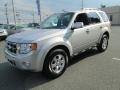 2009 Brilliant Silver Metallic Ford Escape Limited V6 4WD  photo #2