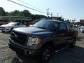 2013 Sterling Gray Metallic Ford F150 STX SuperCab 4x4  photo #1