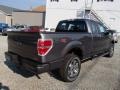 Sterling Gray Metallic - F150 STX SuperCab 4x4 Photo No. 5