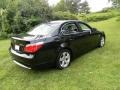 Black Sapphire Metallic - 5 Series 530xi Sedan Photo No. 8