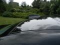 Black Sapphire Metallic - 5 Series 530xi Sedan Photo No. 21