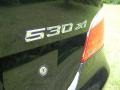 Black Sapphire Metallic - 5 Series 530xi Sedan Photo No. 45
