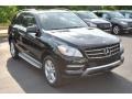 Black - ML 350 4Matic Photo No. 1