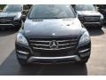Black - ML 350 4Matic Photo No. 2
