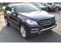 Lunar Blue Metallic - ML 350 4Matic Photo No. 1