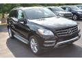 Black - ML 350 4Matic Photo No. 1