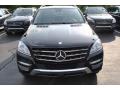 Black - ML 350 4Matic Photo No. 2