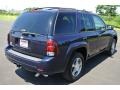 2008 Imperial Blue Metallic Chevrolet TrailBlazer LT  photo #5