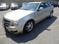 Light Platinum - CTS Sedan Photo No. 2