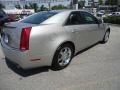 Light Platinum - CTS Sedan Photo No. 6