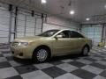 Sandy Beach Metallic - Camry LE Photo No. 4