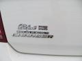 Stone White - Charger SE Photo No. 15