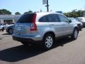 2008 Whistler Silver Metallic Honda CR-V EX-L 4WD  photo #6