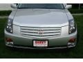 Light Platinum - CTS Sedan Photo No. 2