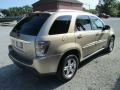 2006 Sandstone Metallic Chevrolet Equinox LT AWD  photo #4