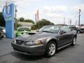 Dark Shadow Grey Metallic - Mustang V6 Convertible Photo No. 4