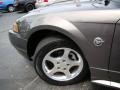 Dark Shadow Grey Metallic - Mustang V6 Convertible Photo No. 28