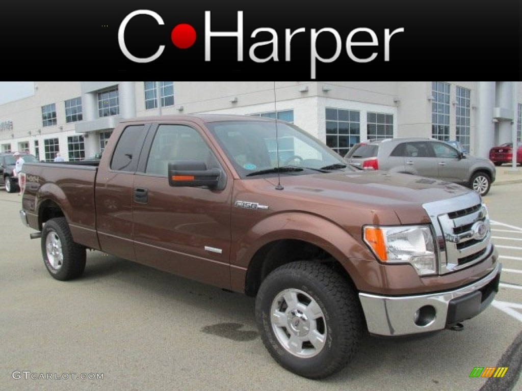 2011 F150 XLT SuperCab 4x4 - Golden Bronze Metallic / Pale Adobe photo #1