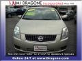Magnetic Gray - Sentra 2.0 S Photo No. 2