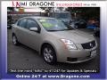 Magnetic Gray - Sentra 2.0 S Photo No. 4