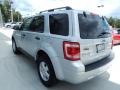 Ingot Silver Metallic - Escape XLT Photo No. 2