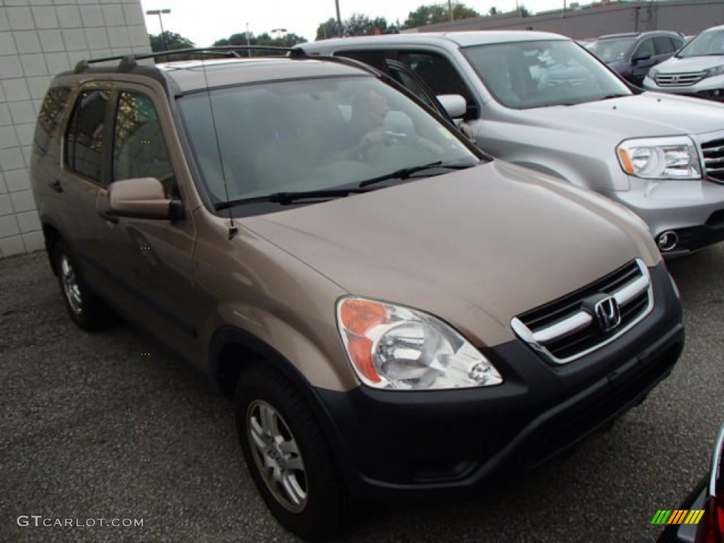 2004 CR-V EX 4WD - Mojave Mist Metallic / Saddle photo #1