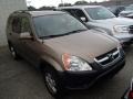 2004 Mojave Mist Metallic Honda CR-V EX 4WD  photo #1