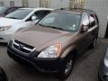 2004 Mojave Mist Metallic Honda CR-V EX 4WD  photo #3