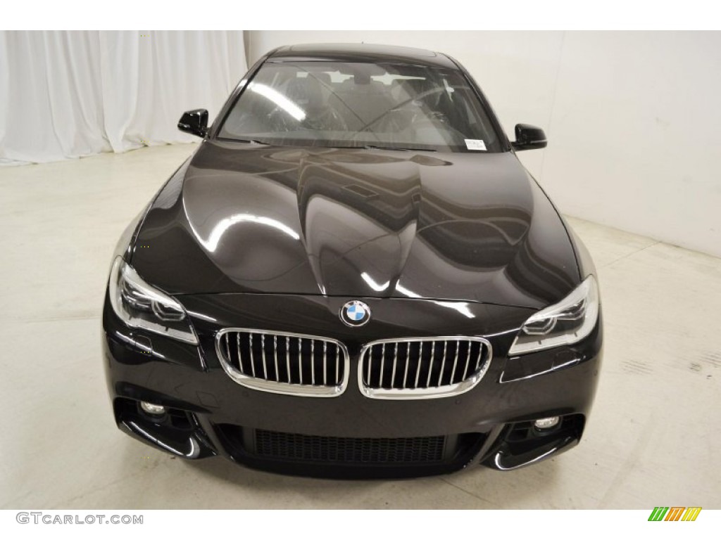 Jet Black 2014 BMW 5 Series 528i Sedan Exterior Photo #85050226